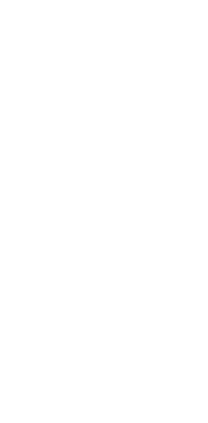wireframes