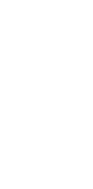 wireframes