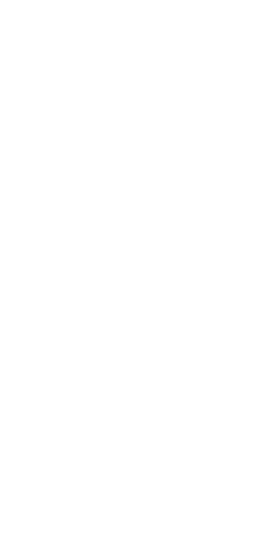 wireframes