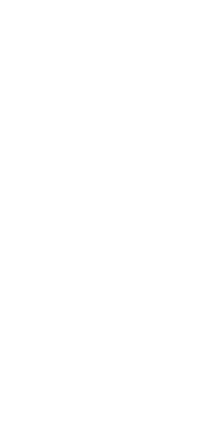 wireframes