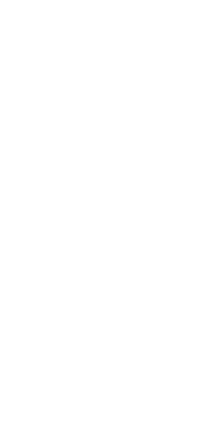 wireframes