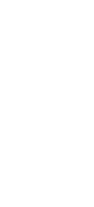 wireframes