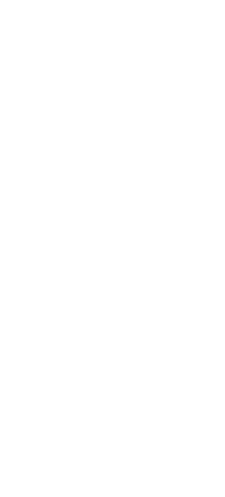 wireframes