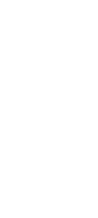 wireframes