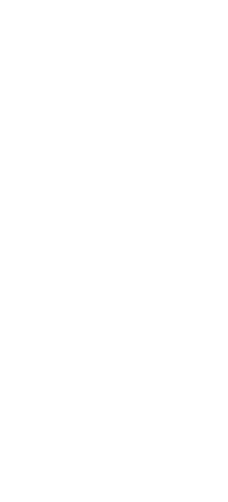 wireframes