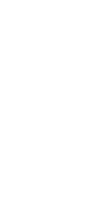 wireframes