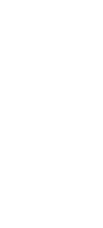 wireframes