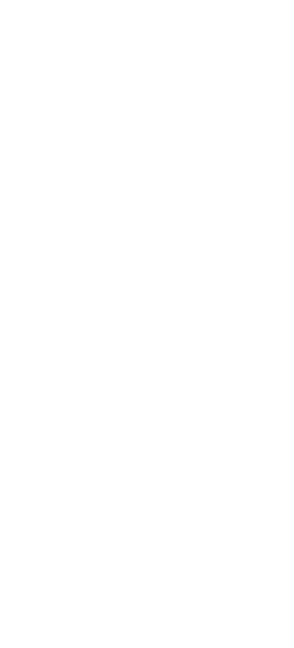 wireframes