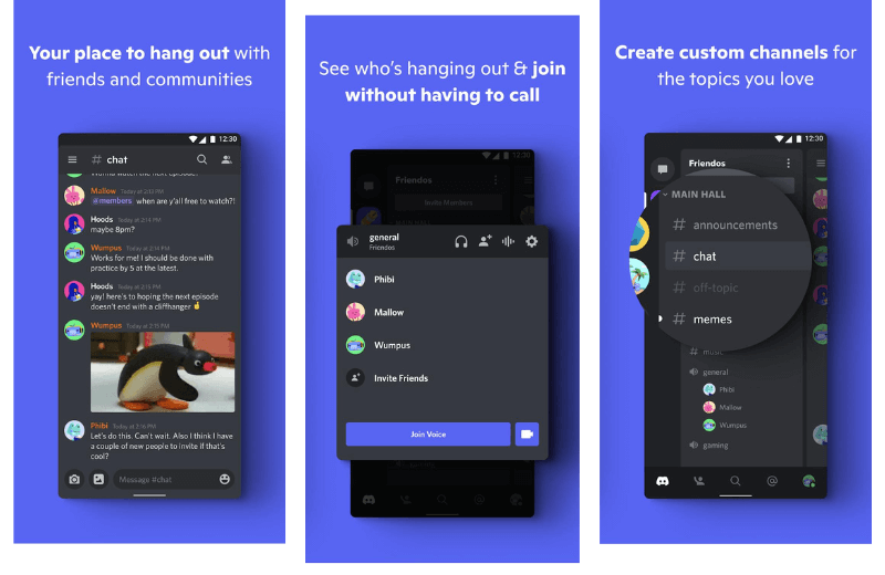 develop a chat app like Discord