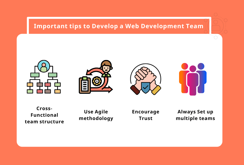 Web Development Team Structure: Roles and Responsibilities