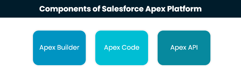Components of Salesforce Apex Platform